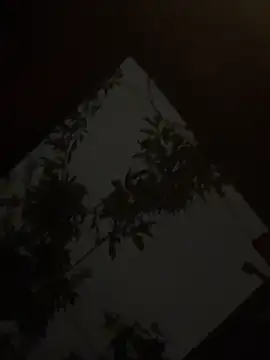 holyeroticss online show from September 2025 01:31:02 AM