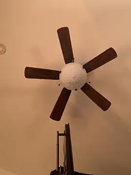 holyeroticss online show from November 2025 12:13:01 AM