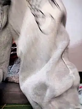 Mie610 online show from January 2026 06:08:01 AM