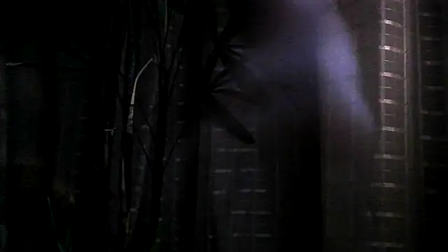 funguybr36 online show from September 2025 11:00:02 AM