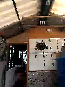 Snapshot of rebekka_simpson chatting on March 2025 08:10:02 PM rebekka simpson online show from March 2025 08:10:02 PM