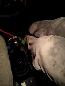 A man in public online show from April 2026 10:47:01 PM