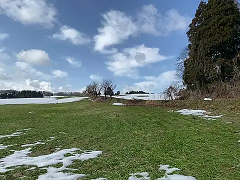 Snapshot of ge3noxxx chatting on March 2025 12:43:01 AM ge3noxxx online show from March 2025 12:43:01 AM