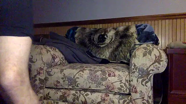 Snapshot of tongueispowerr6d9 chatting on March 2026 02:18:02 AM tongueispowerr6d9 online show from March 2026 02:18:02 AM