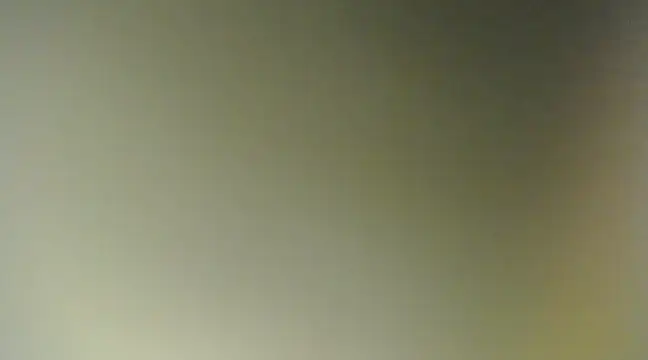 Snapshot of Lovensetest chatting on March 2025 11:55:02 AM Lovensetest online show from March 2025 11:55:02 AM