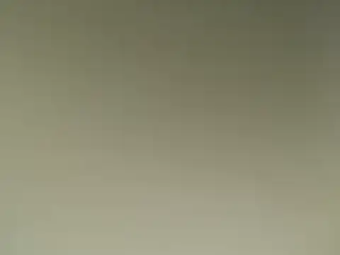 Snapshot of Lovensetest chatting on March 2025 08:19:02 AM Lovensetest online show from March 2025 08:19:02 AM