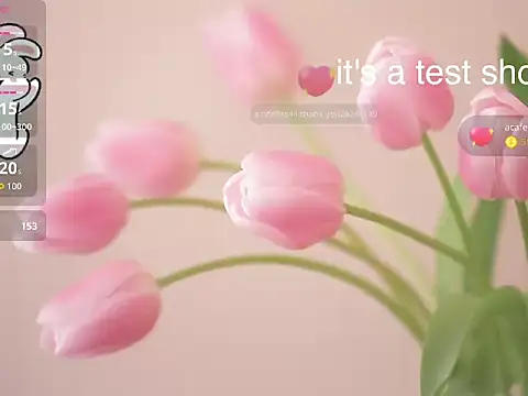 Snapshot of Lovensetest chatting on November 2025 06:35:02 AM Lovensetest online show from November 2025 06:35:02 AM