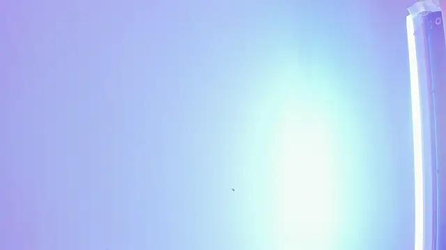 ellamontoya online show from November 2025 01:28:02 PM