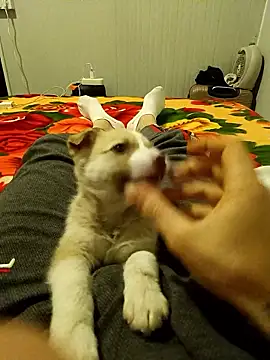 arenn1997 online show from January 2026 12:23:02 AM