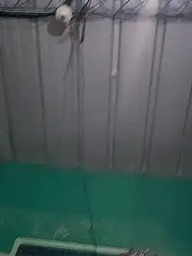 Snapshot of Cris29_84 chatting on February 2026 08:23:02 AM Cris29 84 online show from February 2026 08:23:02 AM