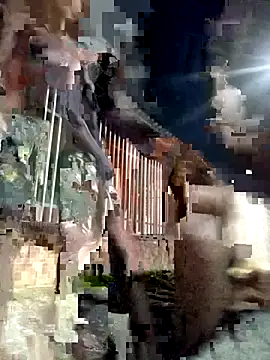 Gutierrez6383 online show from April 2026 04:52:02 AM