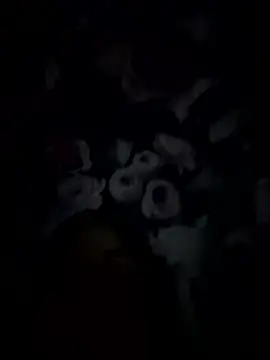 palorid online show from January 2026 09:31:01 PM