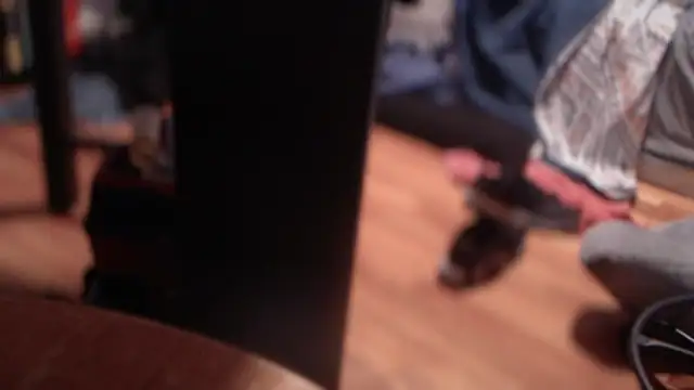 flexingplexico online show from March 2025 02:41:01 AM