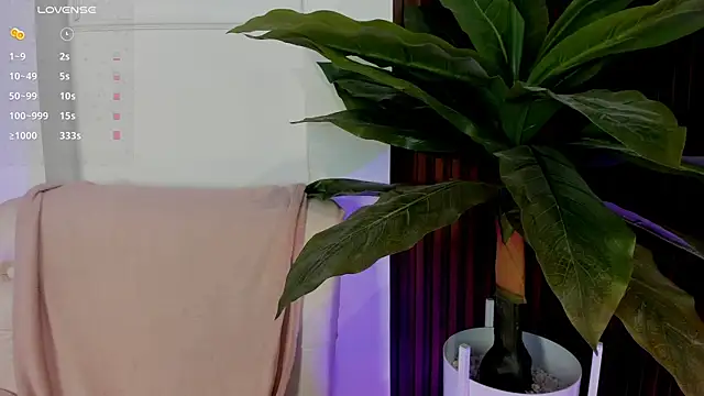 Anybuny online show from March 2025 11:51:01 AM