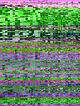 Rose berry online show from March 2026 06:39:02 AM