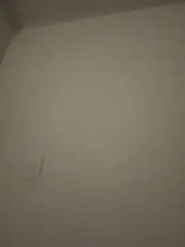 Amber Rush  online show from February 2026 03:48:01 AM