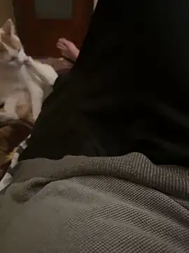 bigboy30X online show from October 2025 04:19:02 PM