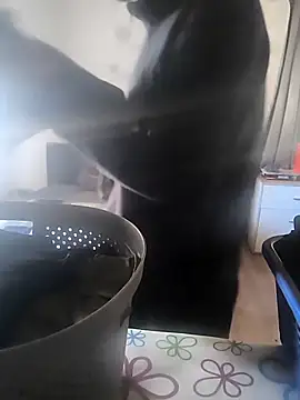 Naked Ben online show from April 2026 02:50:01 PM