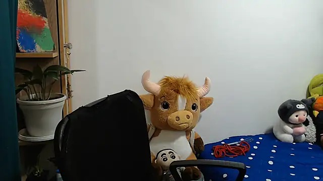 SWEETT CORY online show from June 2026 03:24:02 AM
