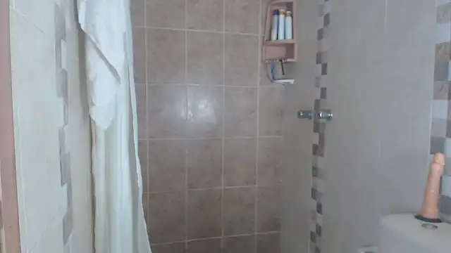 brigitht online show from March 2025 03:02:01 PM