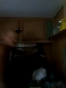 Snapshot of tjmacksjr chatting on October 2025 07:01:02 PM tjmacksjr online show from October 2025 07:01:02 PM