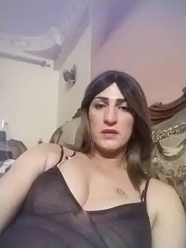 ingishemale1 online show from April 2026 04:52:01 AM