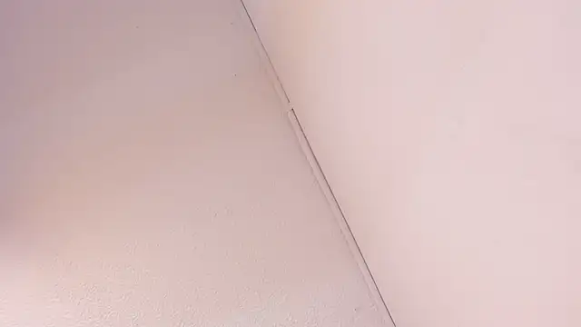 Snapshot of Black_Rose2 chatting on March 2026 11:45:02 AM Black Rose2 online show from March 2026 11:45:02 AM