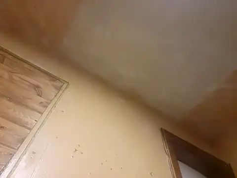 Snapshot of BigDDave6979 chatting on March 2025 07:42:02 AM BigDDave6979 online show from March 2025 07:42:02 AM