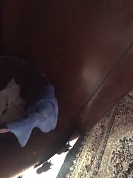 TangoingSorbet online show from November 2025 10:17:01 AM