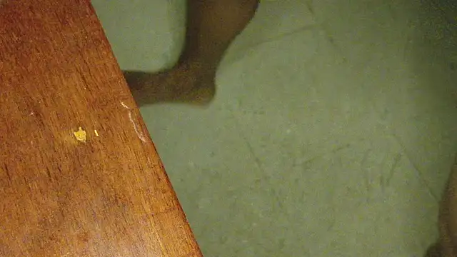 Snapshot of KingCobraClassy chatting on March 2025 09:15:02 PM KingCobraClassy online show from March 2025 09:15:02 PM