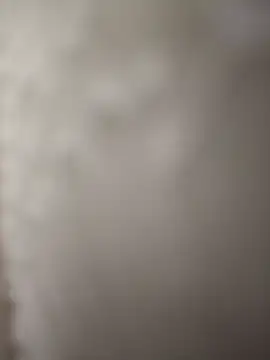 Snapshot of indianbull3684 chatting on December 2024 08:07:02 PM indianbull3684 online show from December 2024 08:07:02 PM