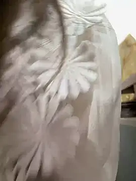 Efangfang online show from February 2025 08:43:02 AM