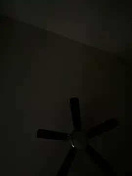 goldbuni online show from December 2024 01:36:02 PM