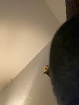 goldbuni online show from December 2024 01:25:01 PM