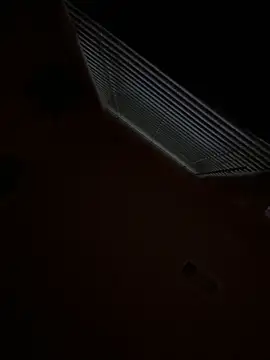 goldbuni online show from November 2025 12:52:01 PM