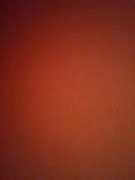 Snapshot of mendelicius chatting on January 2025 12:18:01 PM mendelicius online show from January 2025 12:18:01 PM