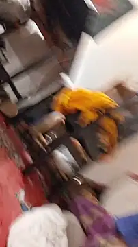 emma neko online show from November 2025 06:40:02 PM