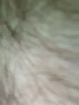 Snapshot of chubby_british_blonde_uk chatting on February 2026 12:38:02 PM chubby british blonde uk online show from February 2026 12:38:02 PM