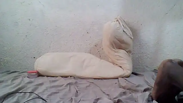 demo2004 online show from October 2025 11:13:02 AM