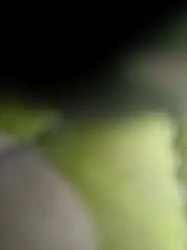 littlehornysons online show from February 2025 02:38:02 AM