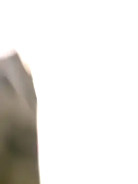 littlehornysons online show from October 2025 02:09:02 AM