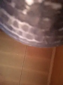 SashaahXXX online show from February 2026 03:40:02 PM