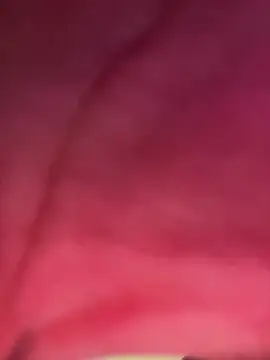 Snapshot of izanmiller2001 chatting on October 2025 07:33:01 PM izanmiller2001 online show from October 2025 07:33:01 PM