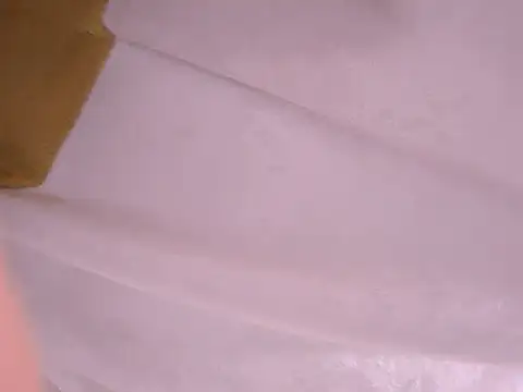 Snapshot of tatsumi_nao chatting on January 2025 11:32:01 PM tatsumi nao online show from January 2025 11:32:01 PM