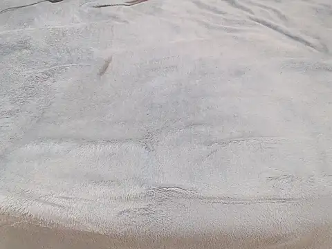 Snapshot of Tequila_Bby chatting on December 2024 06:10:02 AM Tequila Bby online show from December 2024 06:10:02 AM