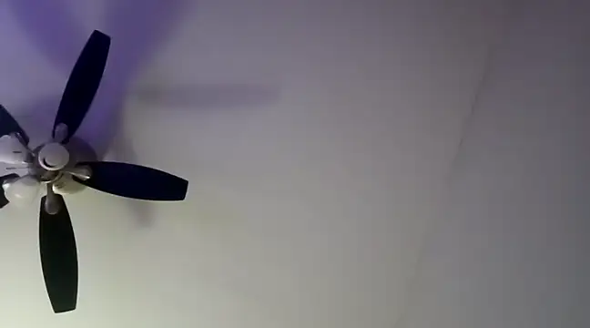 ChiRaqb8 online show from December 2024 05:33:02 AM