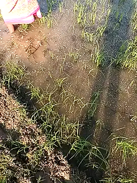 hairipussy2 online show from February 2025 10:29:02 AM