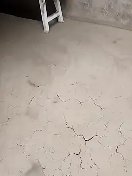 hairipussy2 online show from March 2025 01:26:02 PM