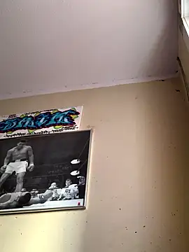 Danilo 2017 online show from January 2026 01:57:02 PM