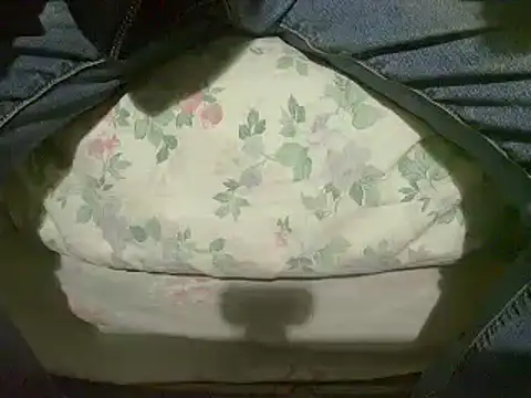 Tiger202441 online show from January 2025 04:08:01 PM